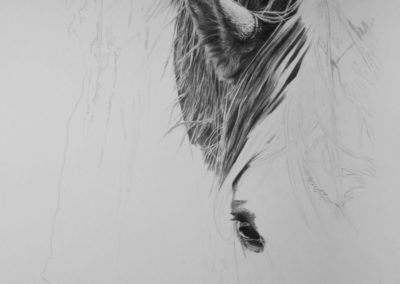 Drinking up Close progress 1