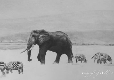 Elephant and Zebra progress 2