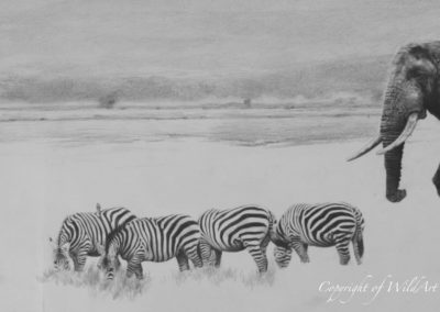Elephant and Zebra progress 3