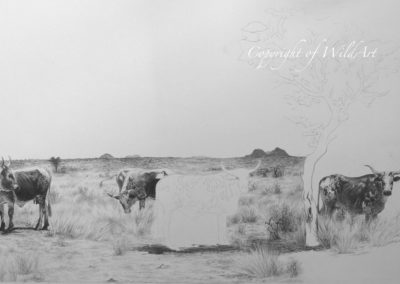 Namibian Ngunis progress 1