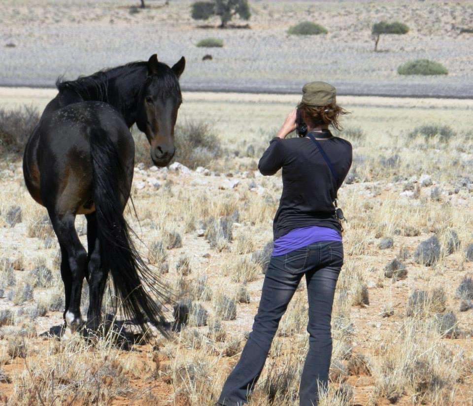 Gisela Marnewecke photographing a wild horse