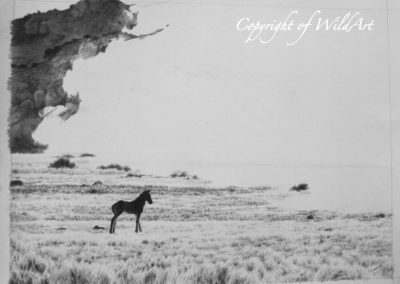 Solitary Foal progress 2