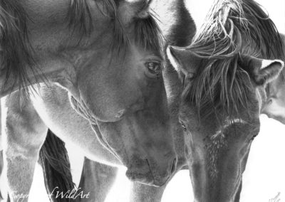 Two Friends at the Waterhole (WH1)