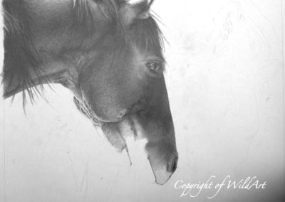 Two Friends at the Waterhole progress 3