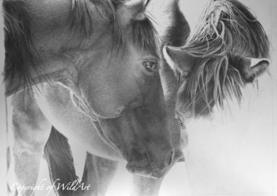 Two Friends at the Waterhole progress 4
