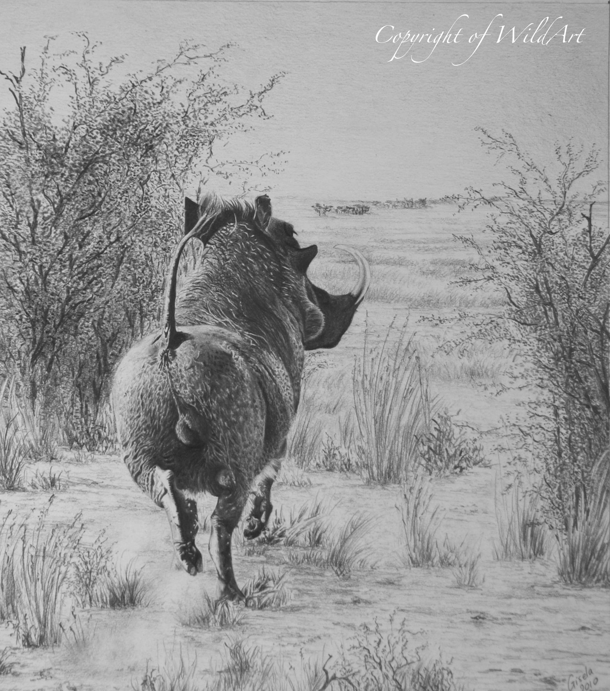 Wildlife