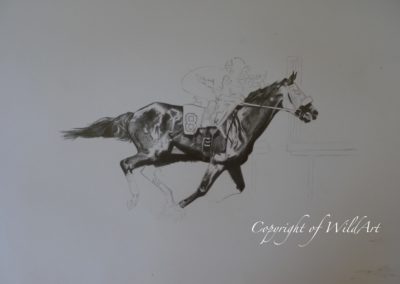 Zenyatta progress 1